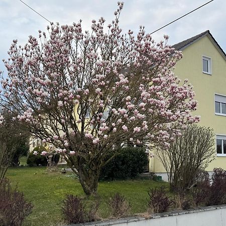 W&P Living Wohnung Mit Ausblick - Parkplatz Biberbach  Εξωτερικό φωτογραφία